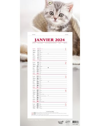 Calendari 12 mesi Animali