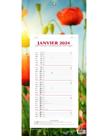 Calendari 12 mesi Fleurs